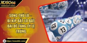 Song Thủ Lô – Bí Kíp Bắt Lô Bất Bại Để Tăng Tỷ Lệ Trúng