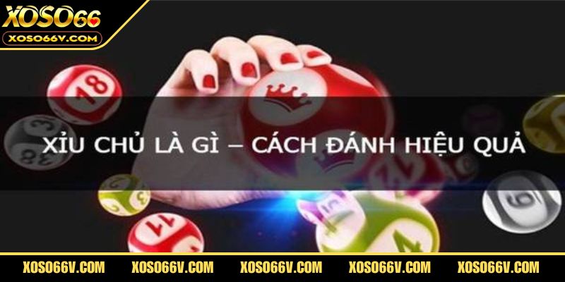 Bí quyết trúng thưởng cao khi chơi lô đề xỉu chủ
